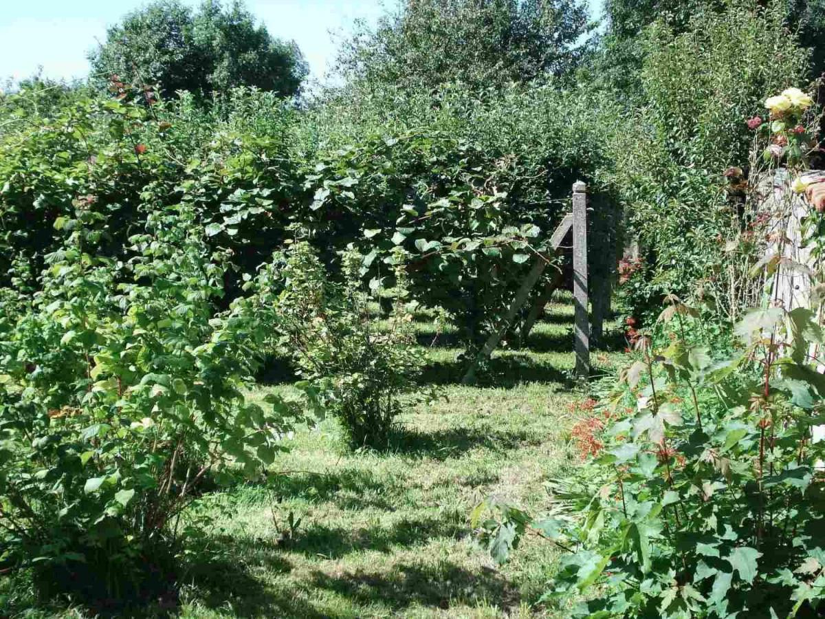 Le Clos Des Tilleuls La Vendelée Exterior foto